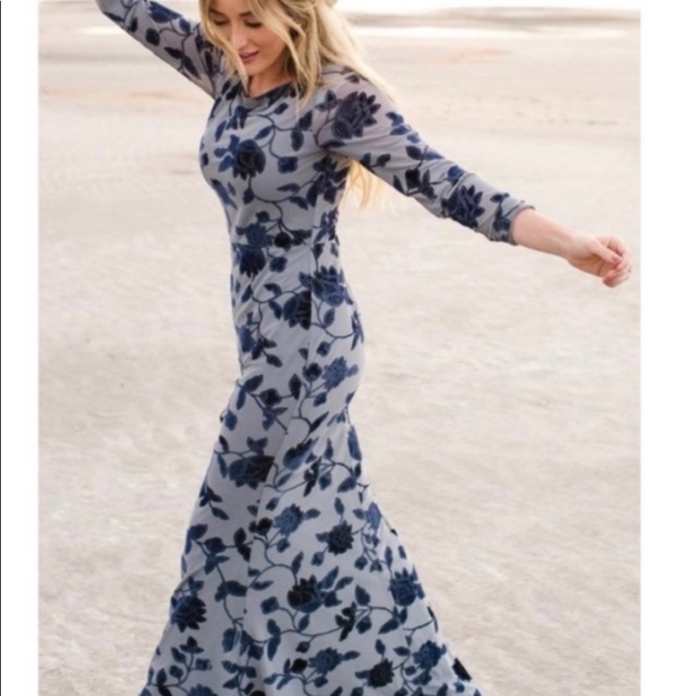 Ivy City Co Blair Velvet Embossed Dress